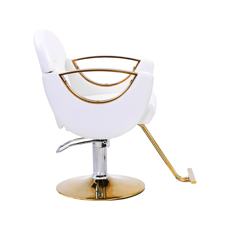 HZ8765BZ / HZ8765WZ / HZ8765PZ / HZ8765Z Leichter Friseursalonstuhl